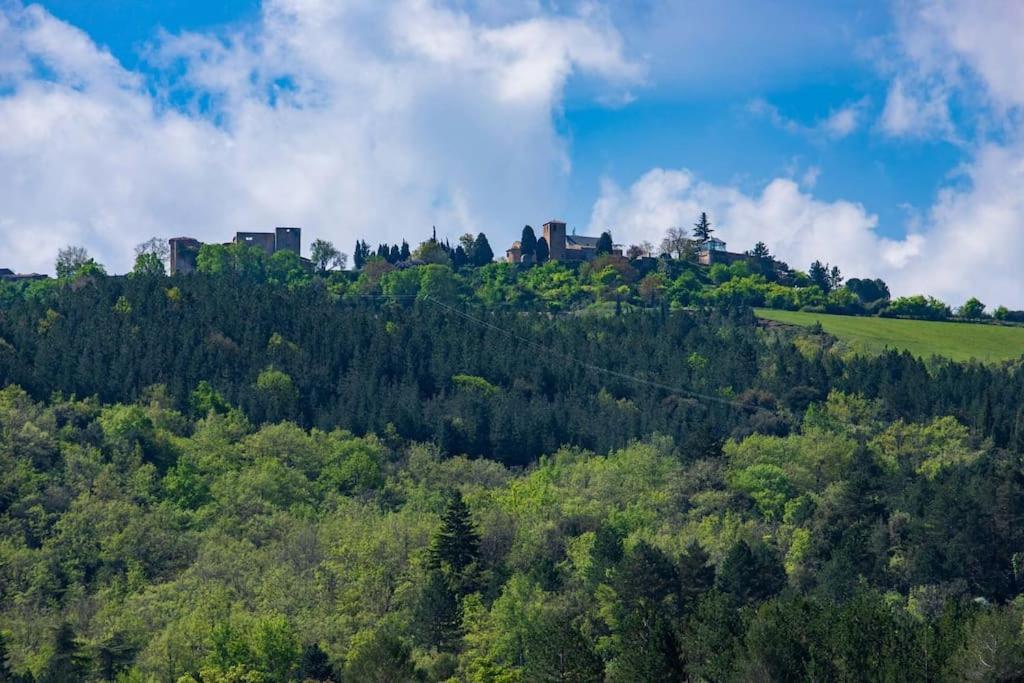 Villa Blanche, Contemporary, Cathars, Couiza, Carcassonne Dış mekan fotoğraf